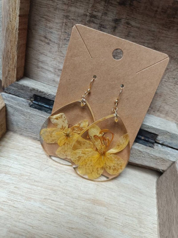 Boucles D'oreilles