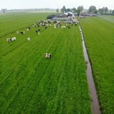 IMG-20210605-WA0042-1.jpg