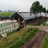 IMG-20210605-WA0027-1.jpg
