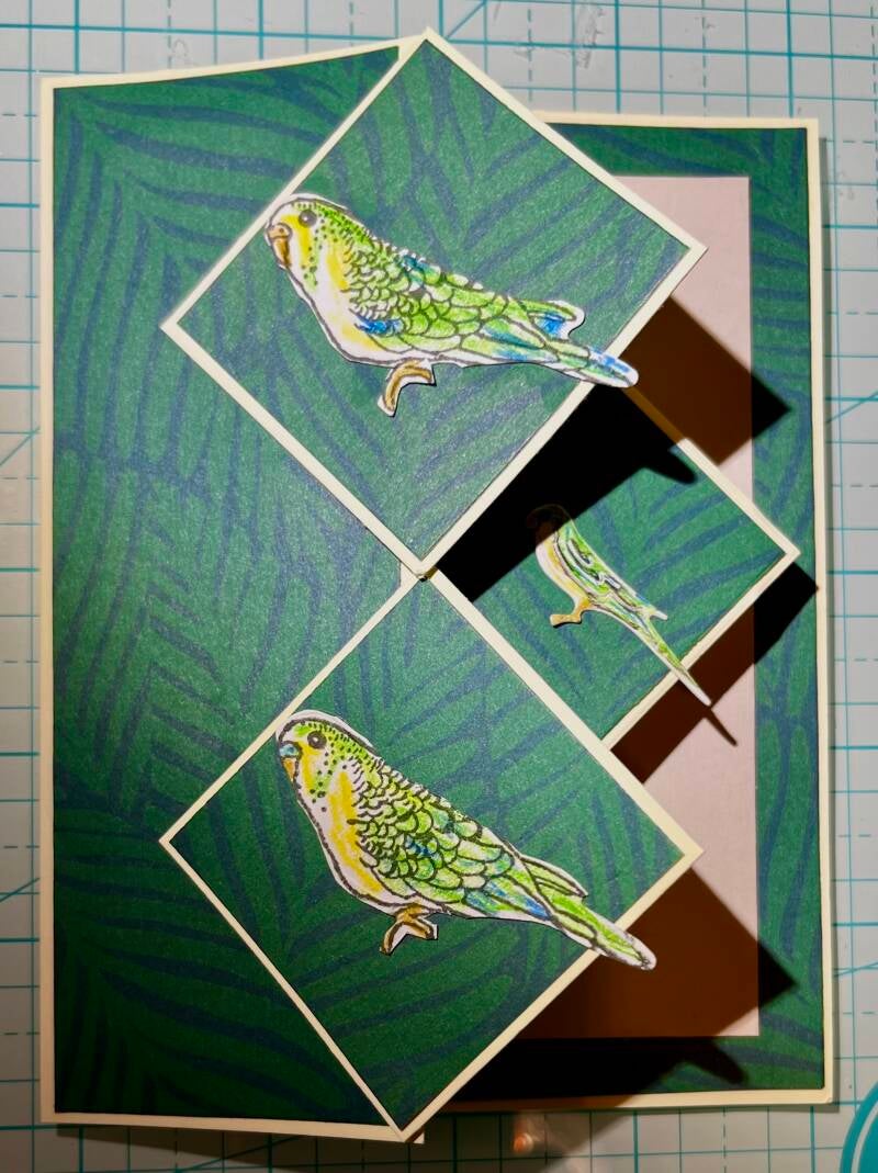 Vicky Kellerman - Front