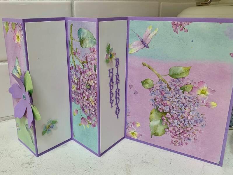 Sharon Pagni - Accordion Fold