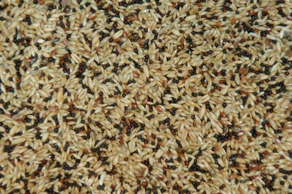 Kanariezaad Zoet Super 1000 gram