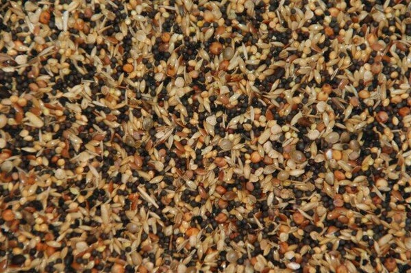 WILDZANGZAAD 1000 gram