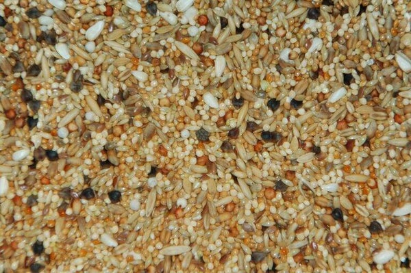 Agapornidenzaad  1000 gram