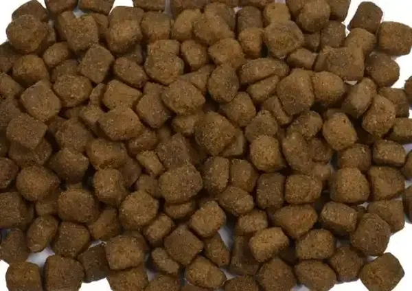 Lam & Rijst hondenbrok  10 kilo