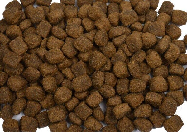 LAM & RIJST hondenbrok 1000 gram