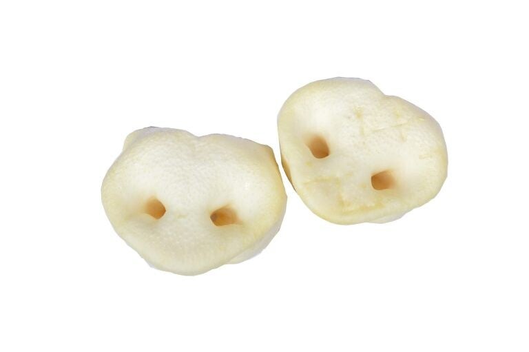 Honingneuzen, 5 stuks