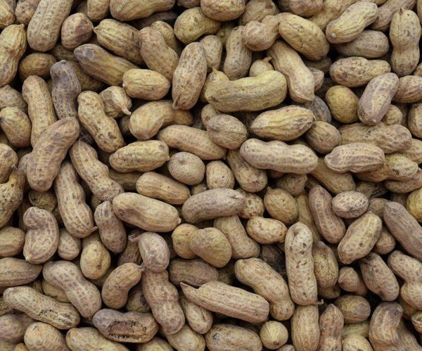Pinda's in dop 500 gram