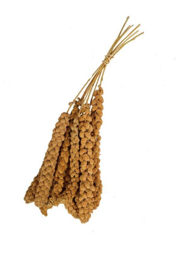 Trosgierst 1000 gram