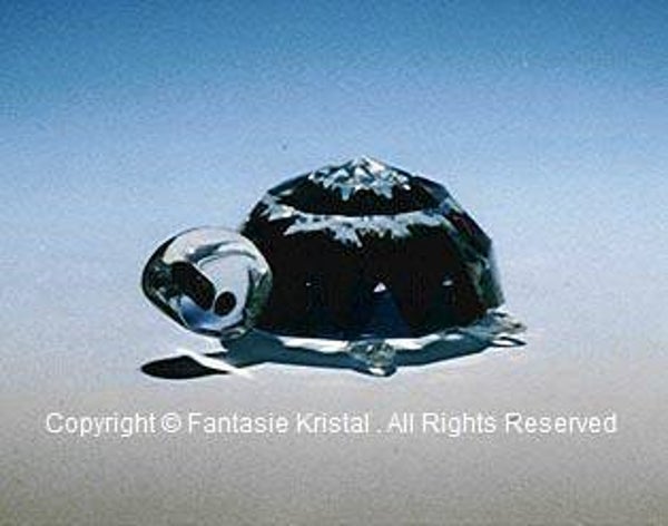 Schildpad