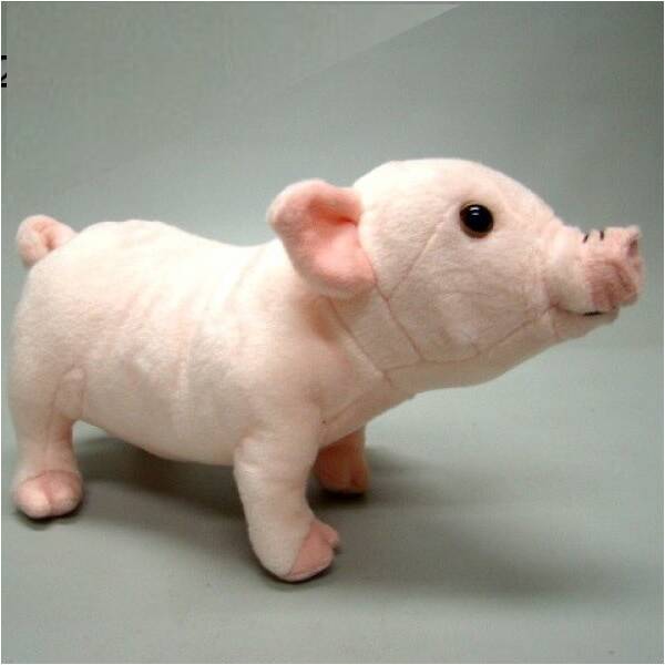 Varken 25 cm.