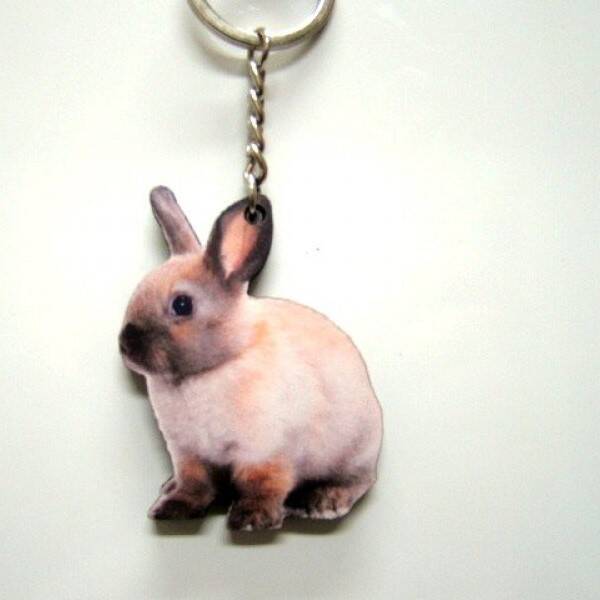 KONIJN (a) SLEUTELHANGER HOUT/ 5CM