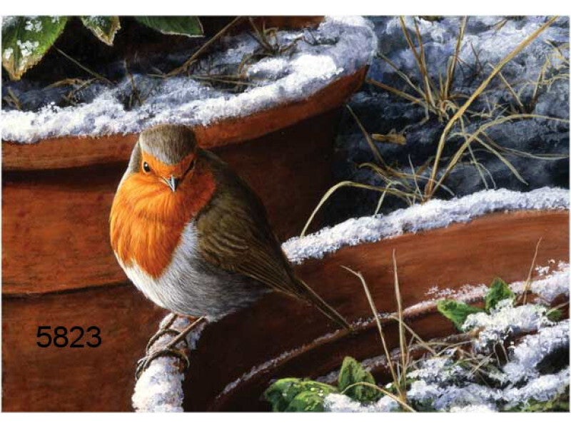 Roodborst