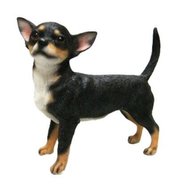 Chihuahua, Leonardo 11,5 cm