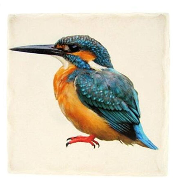Onderzetter Steen voor op tafel; IJsvogel