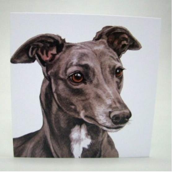 Greyhound