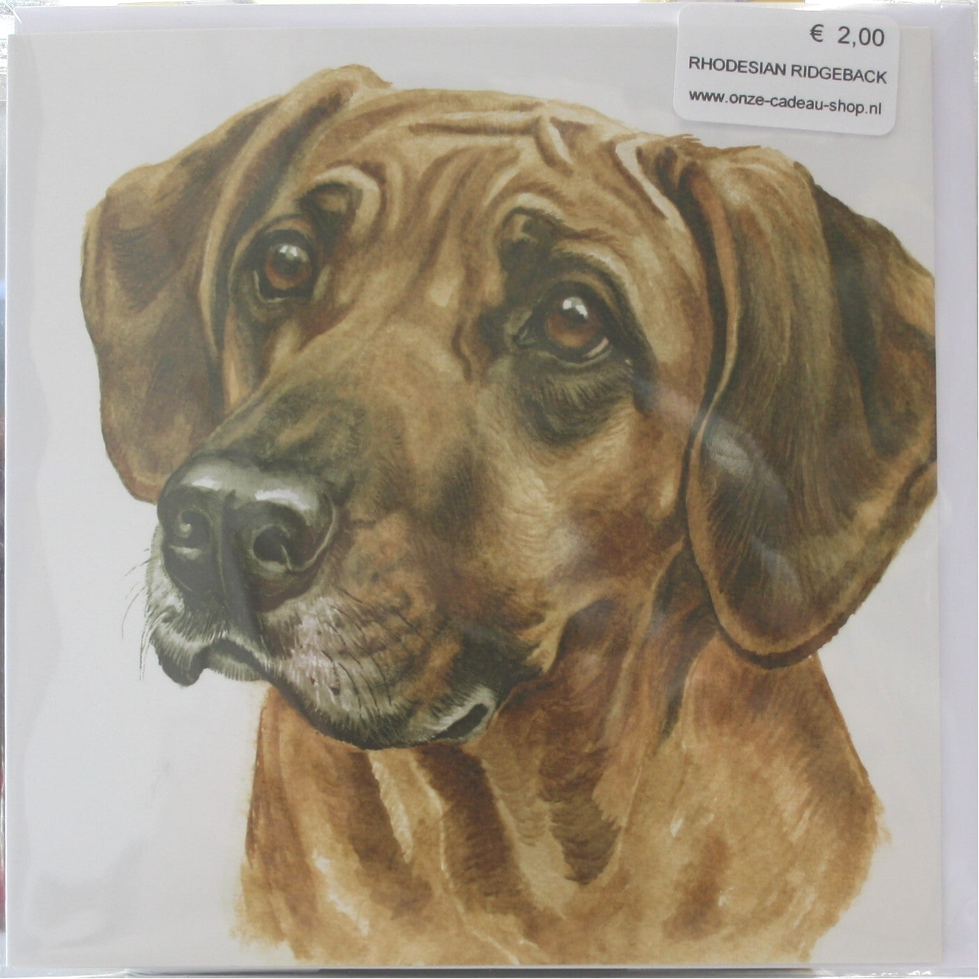 Rhodesian Ridgeback