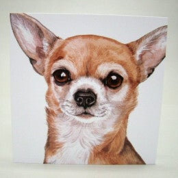 Chihuahua