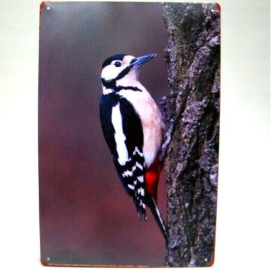 metal signs - Specht