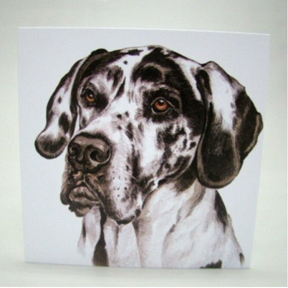 Deense Dog