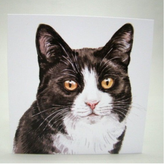 Poes zwart/wit