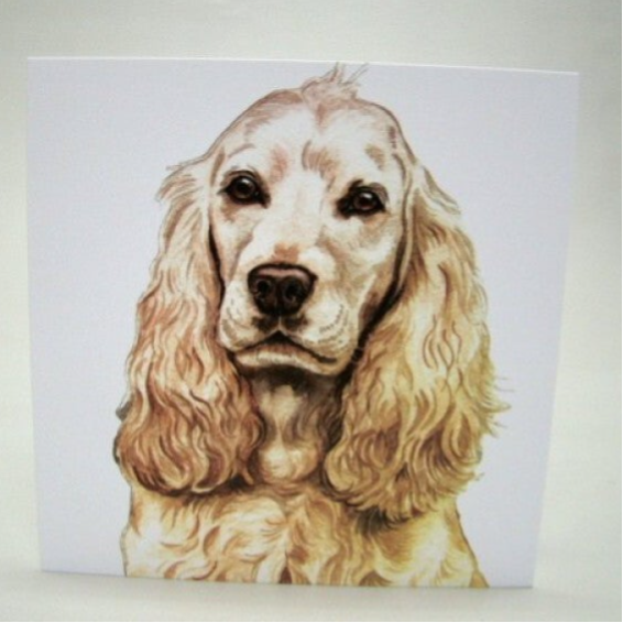 Cocker Spaniel