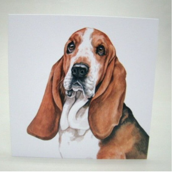 Basset