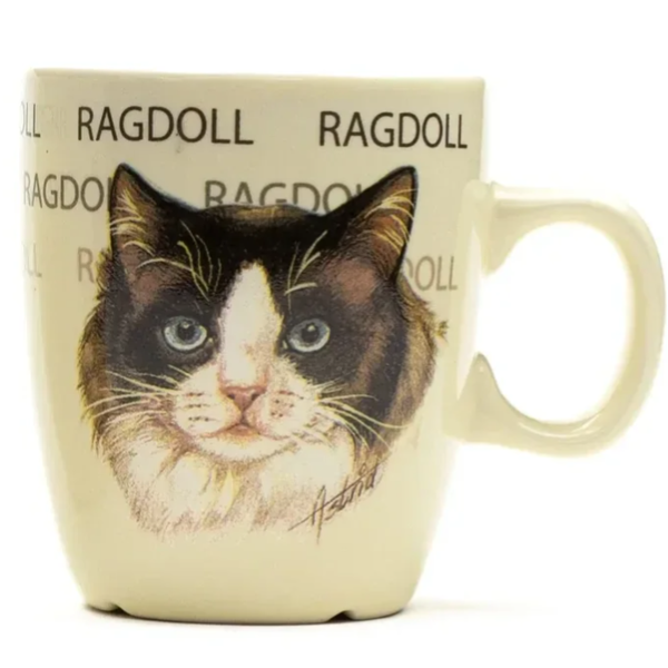 Ragdoll