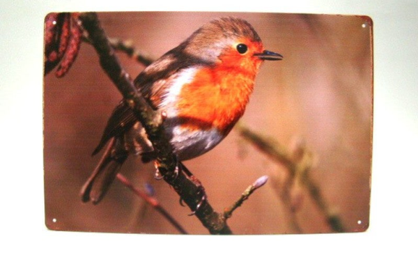 metal signs - Roodborst