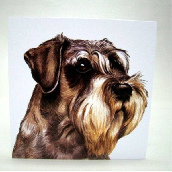 Schnauzer