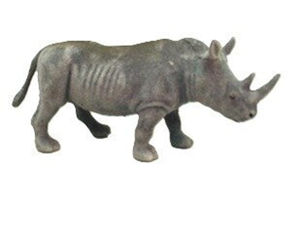 NEUSHOORN, 20 cm.