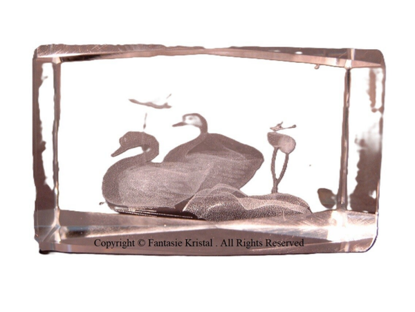ZWANEN  5 X 8 CM, laserblok
