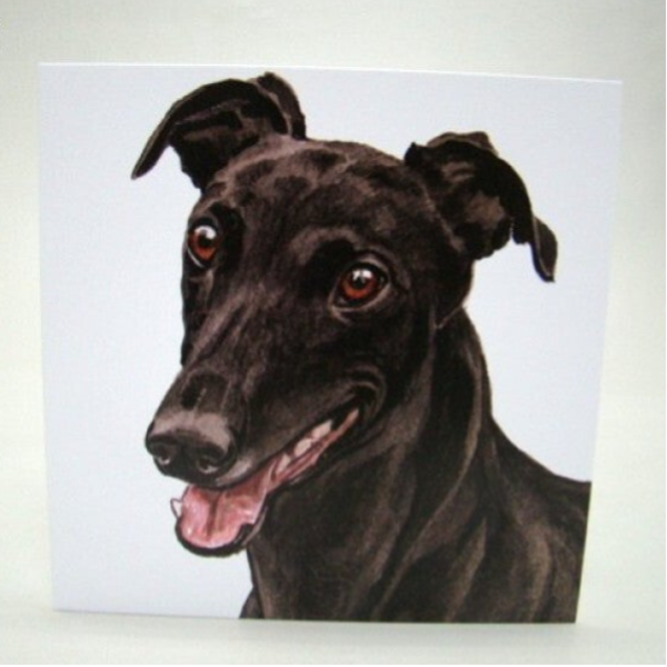 Greyhound