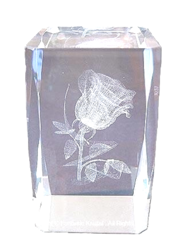 ROOS  5 X 8 CM, laserblok