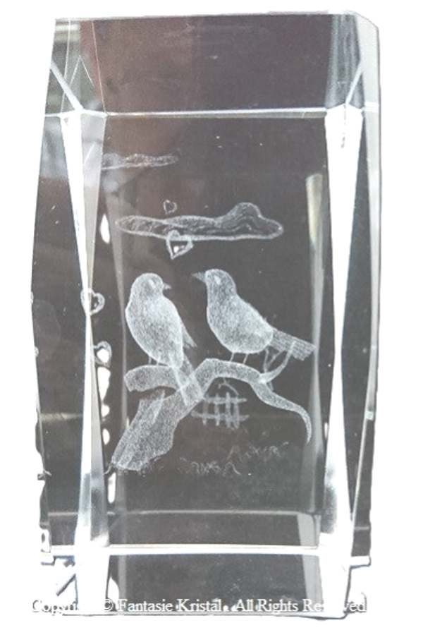 VOGELS  5 X 8 CM, laserblok
