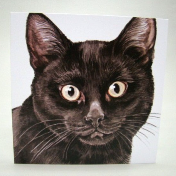Poes zwart