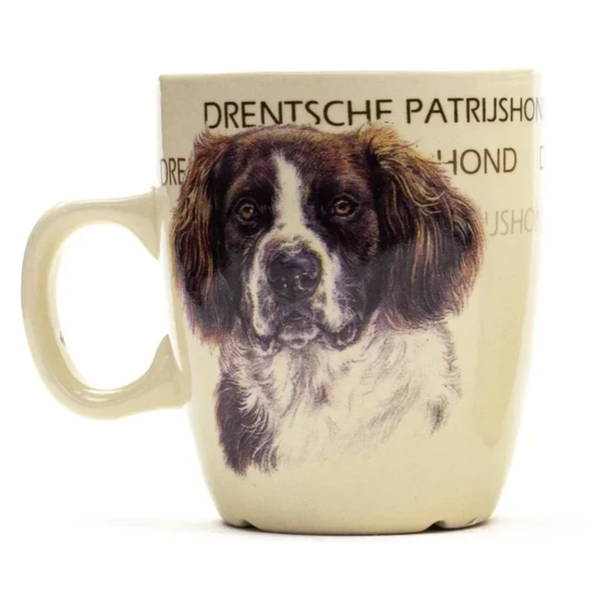 Drentsche Patrijshond