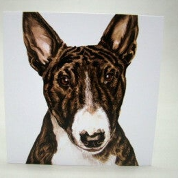 Bull Terrier