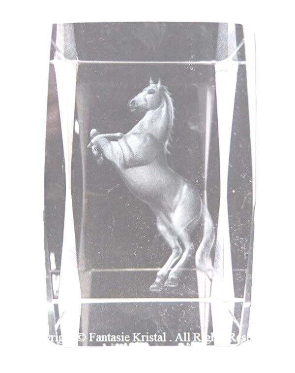 PAARD  5 X 8 CM, laserblok