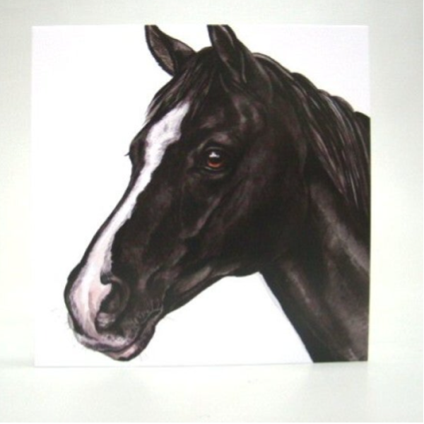 Paard