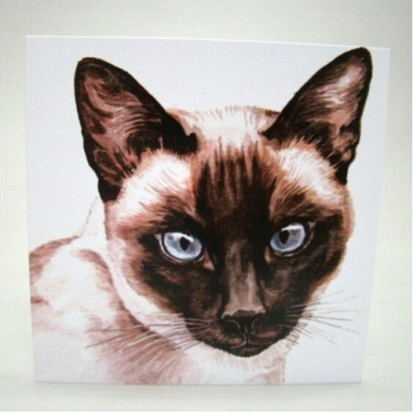 Poes Siamees