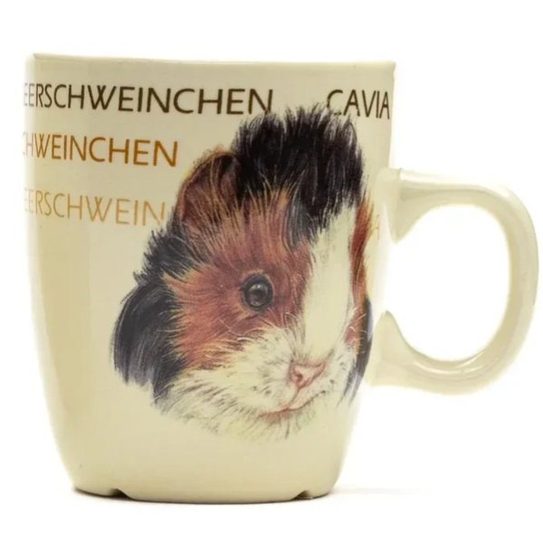 Cavia