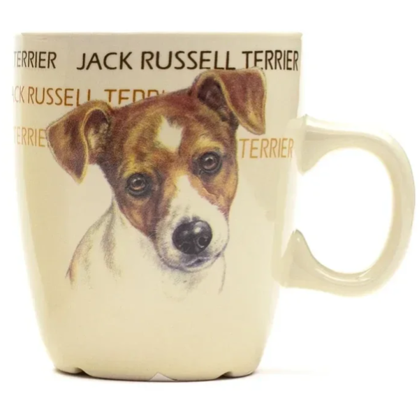 Jack Russell Terrier