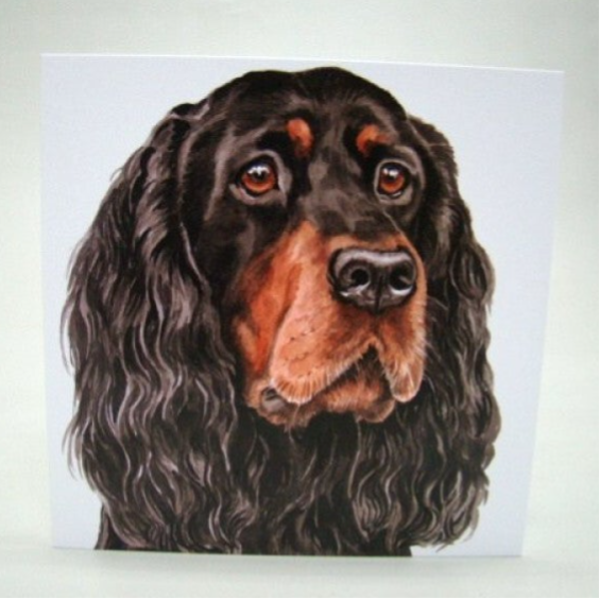 Gordon Setter