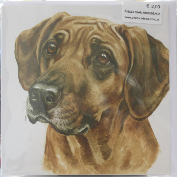 Rhodesian Ridgeback