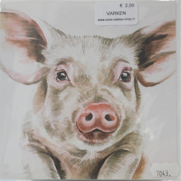 Varken