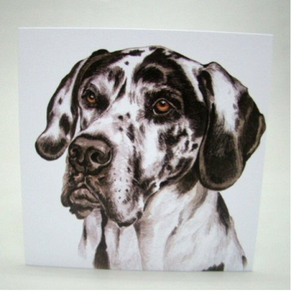 Deense Dog