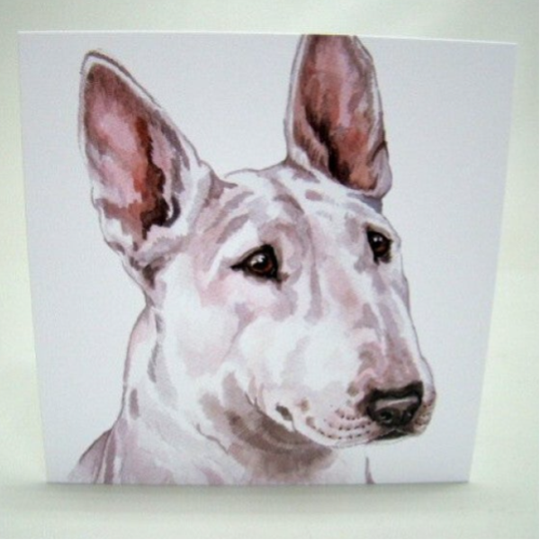 Bull Terrier