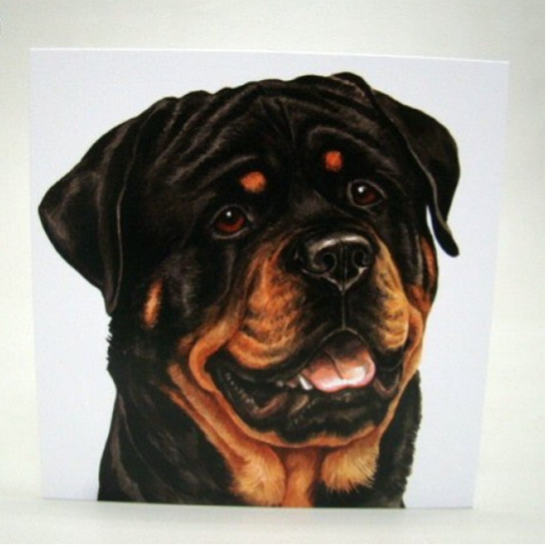 Rottweiler