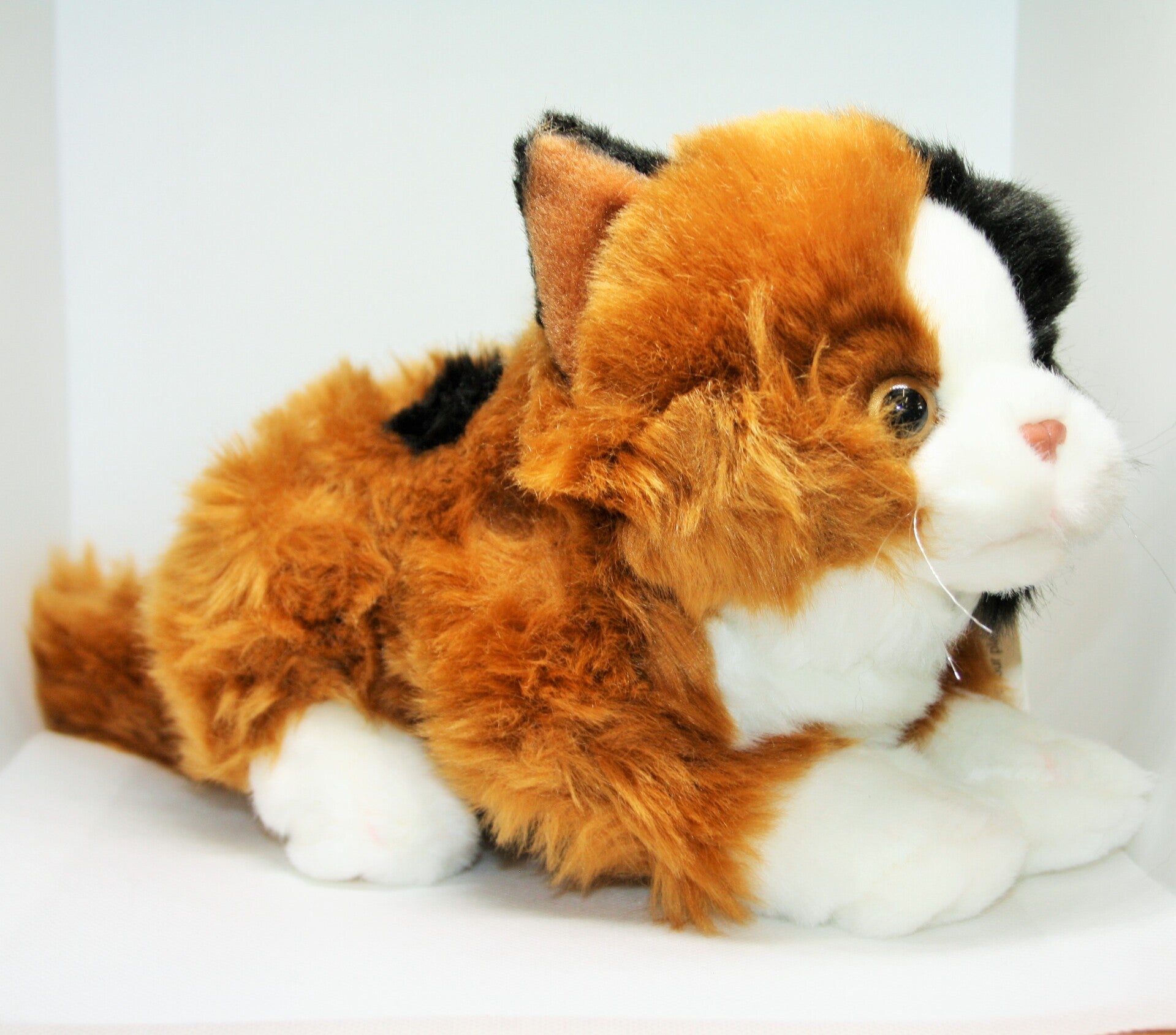 Poes lapjeskat (c) 17 cm